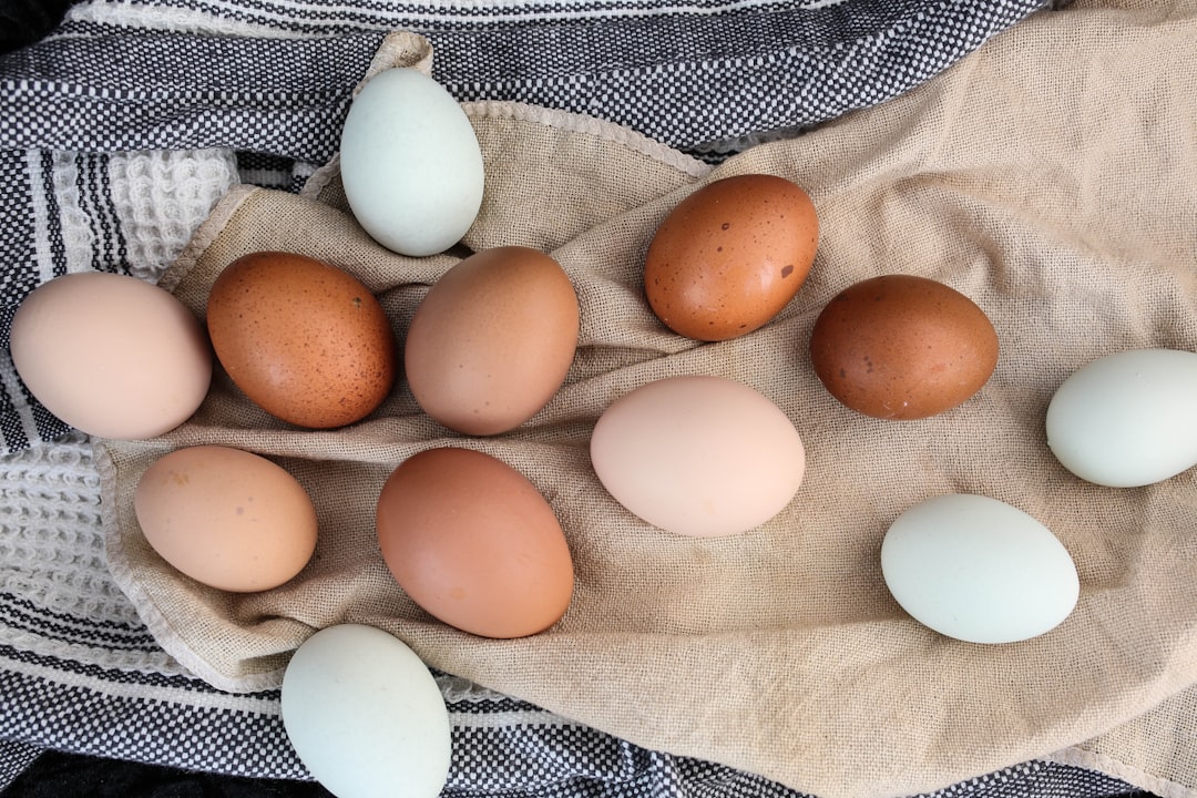 Rare Find: Ostrich Egg for Sale